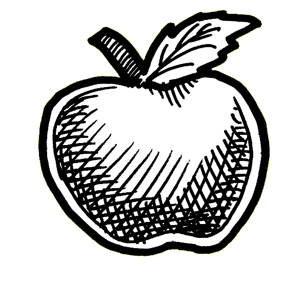 a hand-drawn illustration in thick black pen of an apple