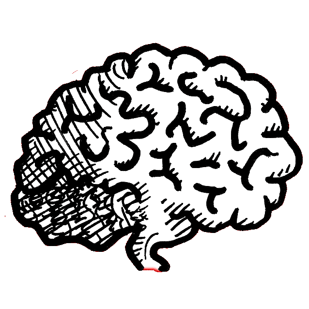 a hand-drawn illustration in thick black pen of a human brain